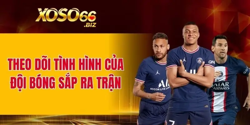 Theo dõi tình hình của đội bóng sắp ra trận